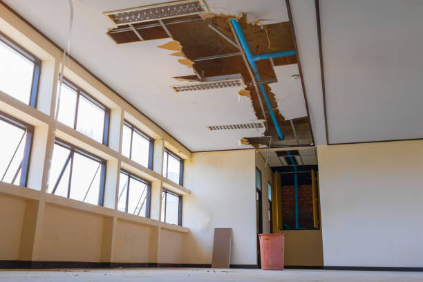 Best Water damage restoration near me  in Greensburg, IN
