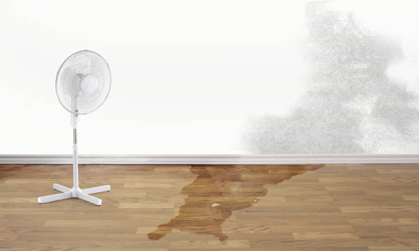 Water damage restoration process in Greensburg, IN