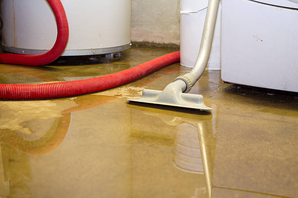 Best Emergency water damage restoration  in Greensburg, IN