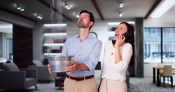 Best Commercial water damage restoration  in Greensburg, IN
